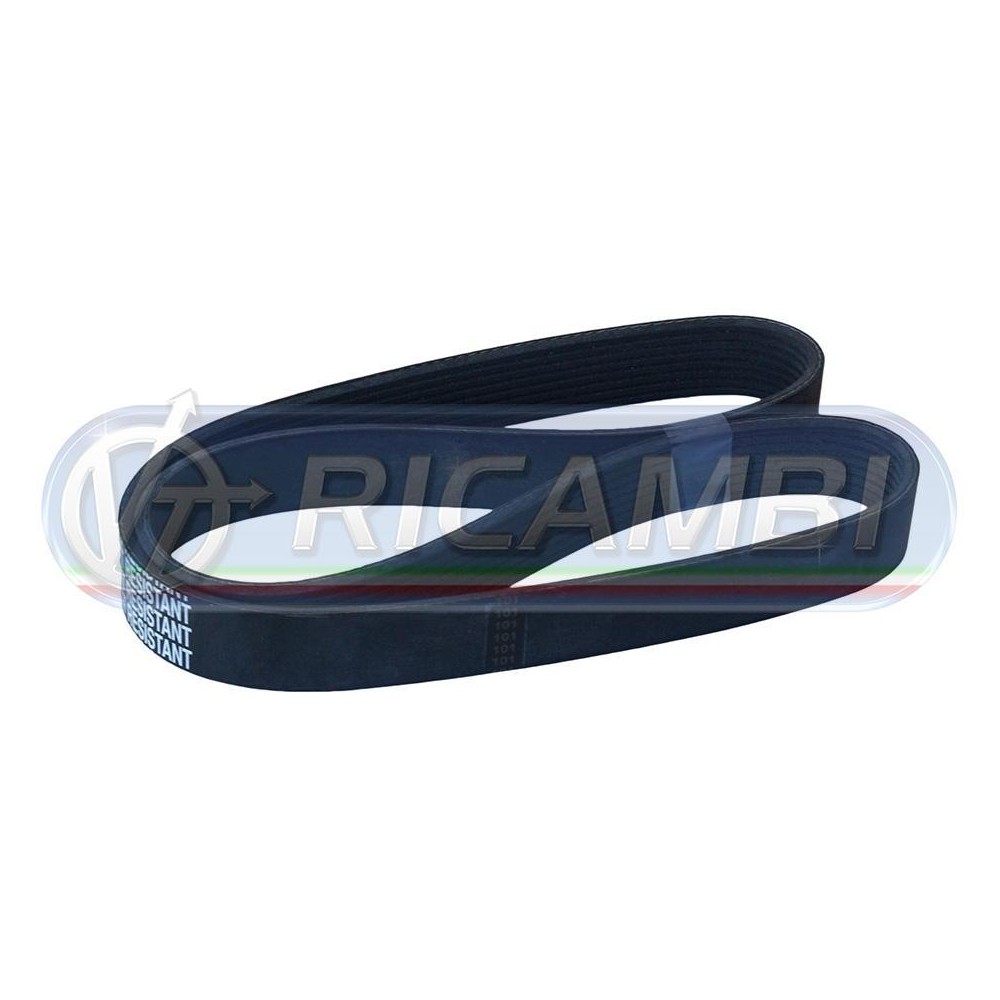 2 - CINGHIA 10PK1512