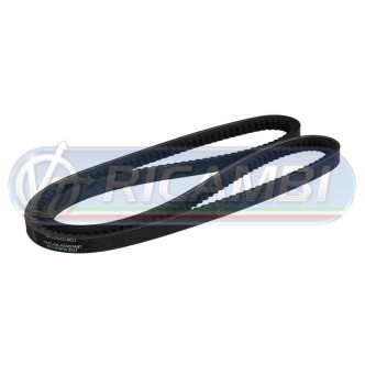 2 - CINGHIA TRAPEZOIDALE 10 X LA 1200