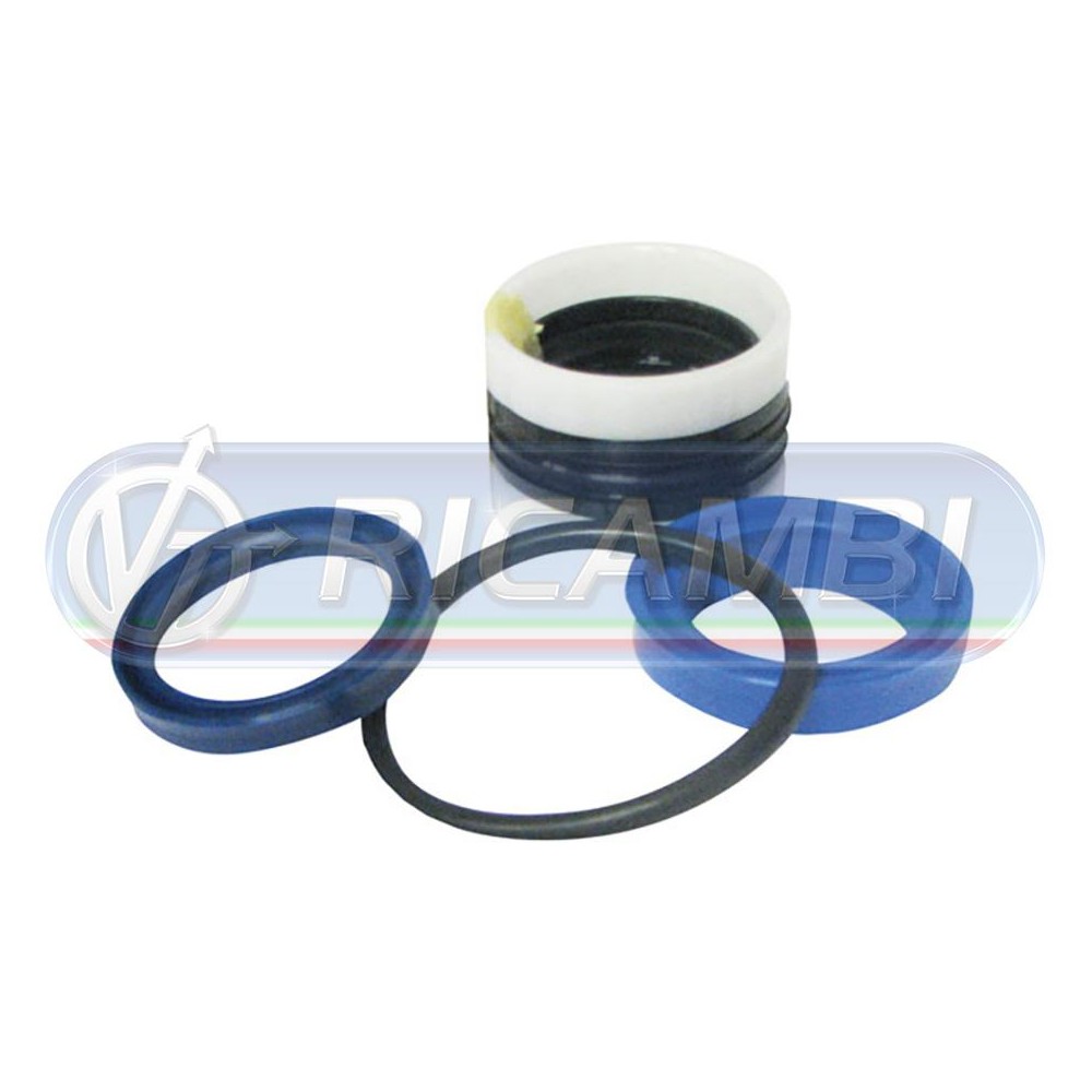 2 - KIT GUARNIZIONI Ø30/40 DOPPIO EFFETTO DHOLLANDIA